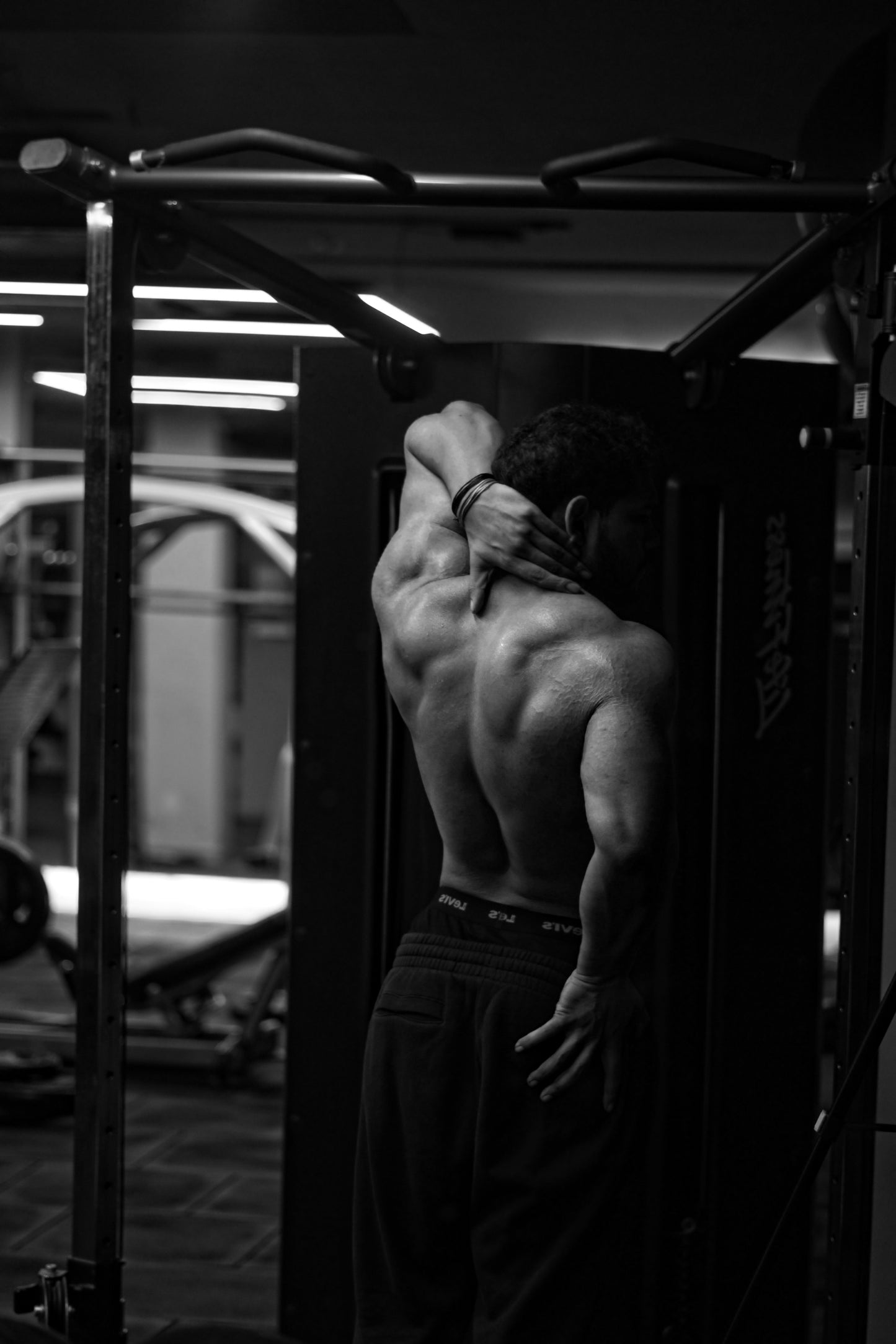 Back Transformation Guide