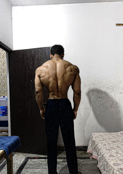 Back Transformation Guide